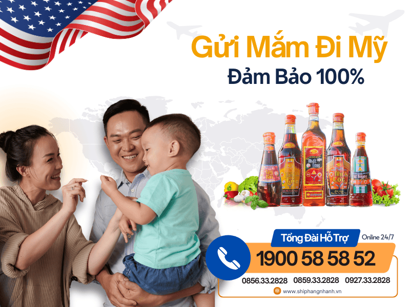 gui mam di my 1