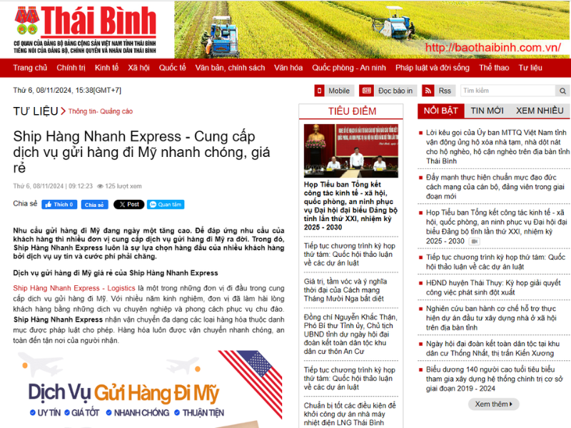 bao thai binh 2