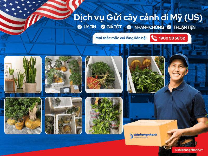 dich vu gui cay canh qua my 2