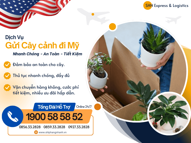 dich vu gui cay canh qua my