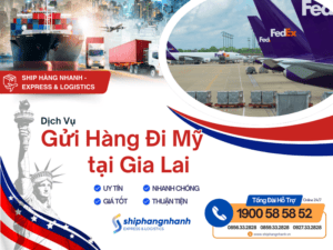 gui hang di my tai gia lai 1