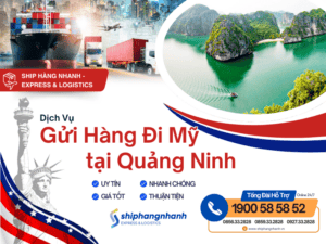 gui hang di my tai quang ninh