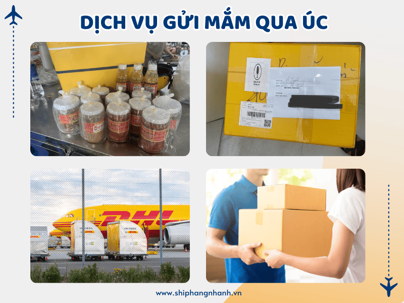 gui mam di uc 2