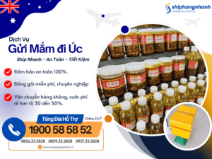 gui mam di uc 6