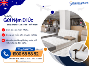 gui nem di uc