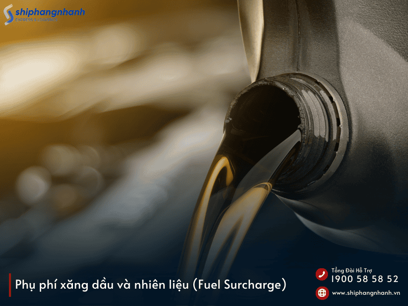 phi an la gi cac loai phi an trong chuyen phat nhanh quoc te 1