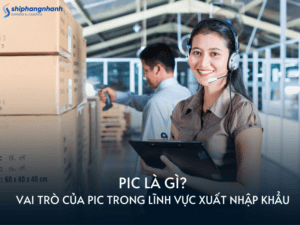 pic la gi trong xuat nhap khau