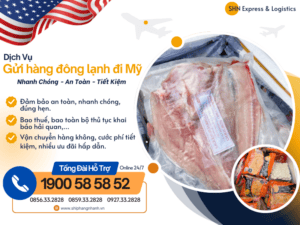 dich vu gui hang dong lanh di my shn - Kubet
