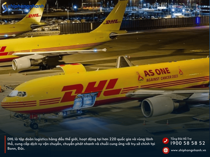 gioi thieu ve dhl