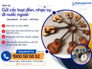 gui dan va cac loai nhac cu di nuoc ngoai