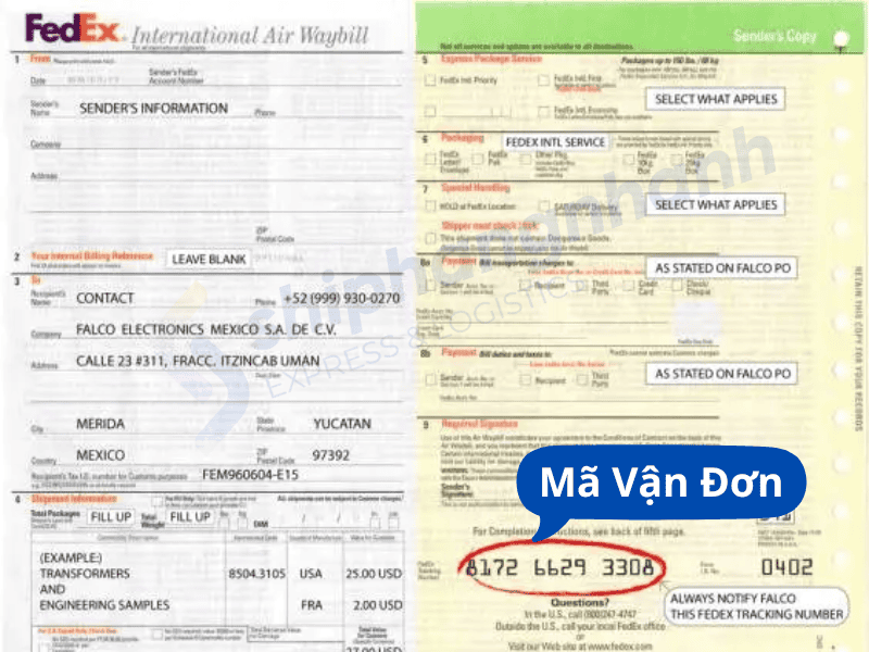 huong dan cach tra cuu ma van don fedex 1