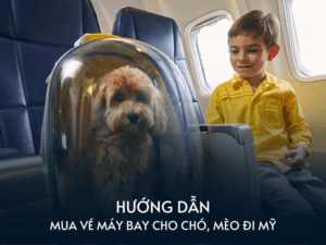huong dan mua ve may bay cho cho meo di my