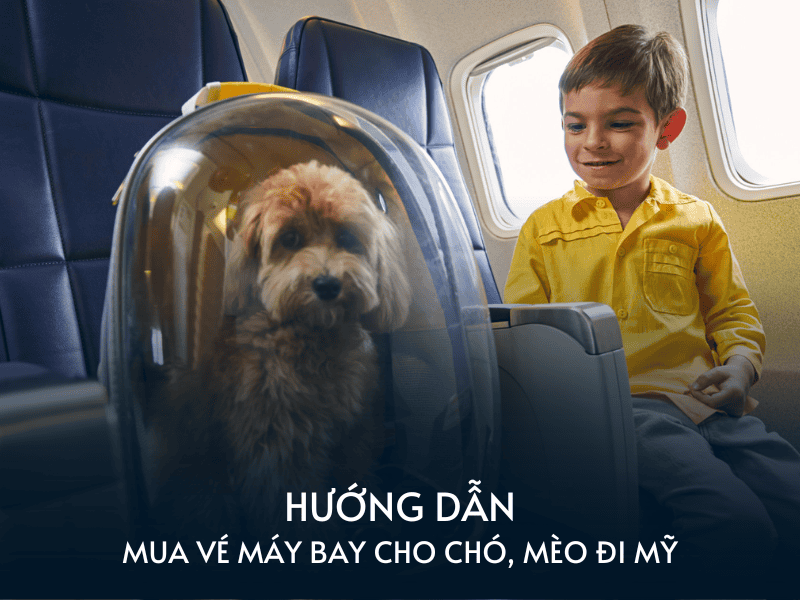 huong dan mua ve may bay cho cho meo di my