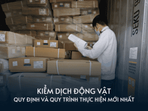 kiem dich dong vat la gi thu tuc va quy trinh thuc hien