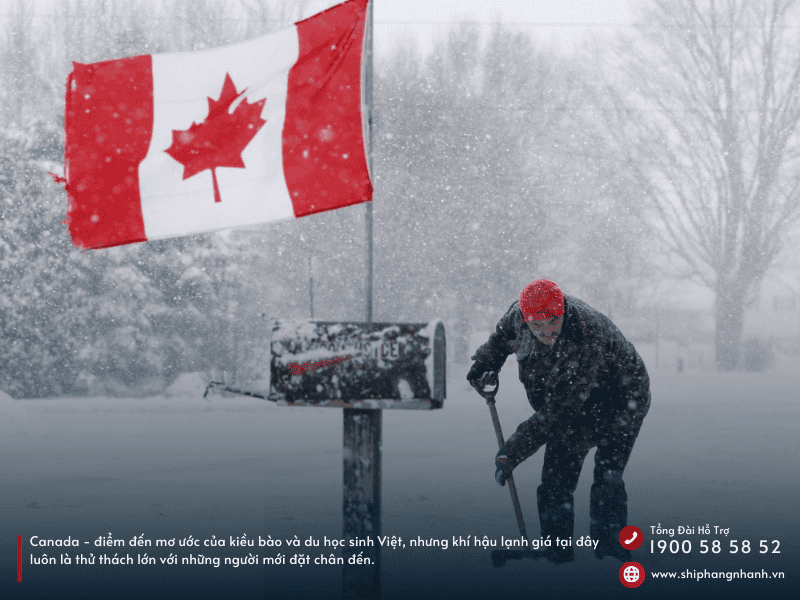 dich vu gui quan ao di canada gia re an toan nhanh chong