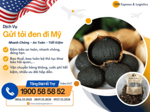 gui toi den di my