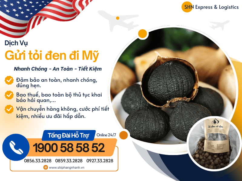 gui toi den di my