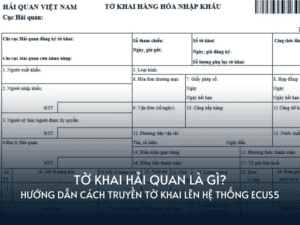to khai hai quan la gi