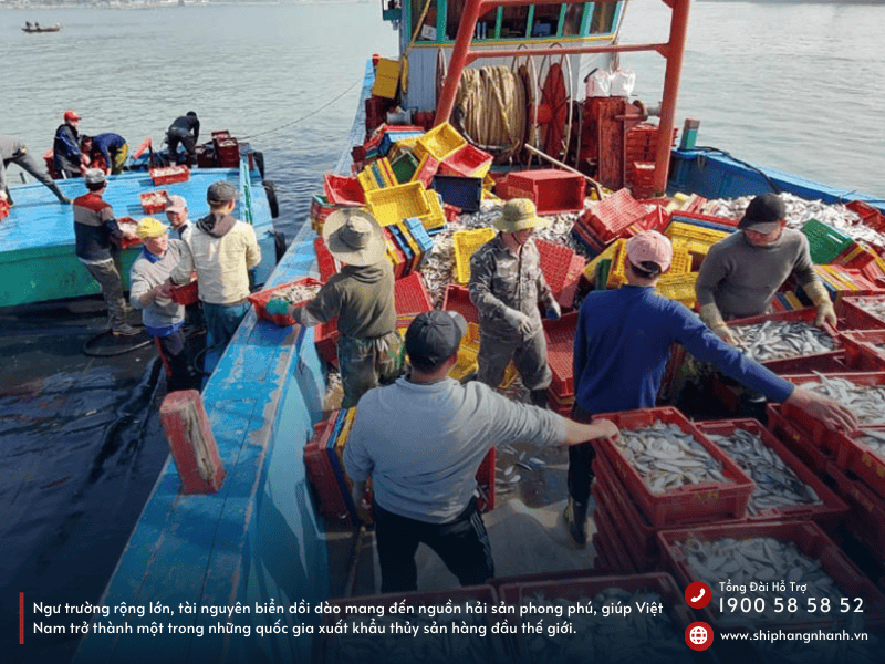 dich vu gui ca kho muc kho tom kho thuy hai san di duc 6