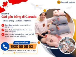 gui gau bong di canada