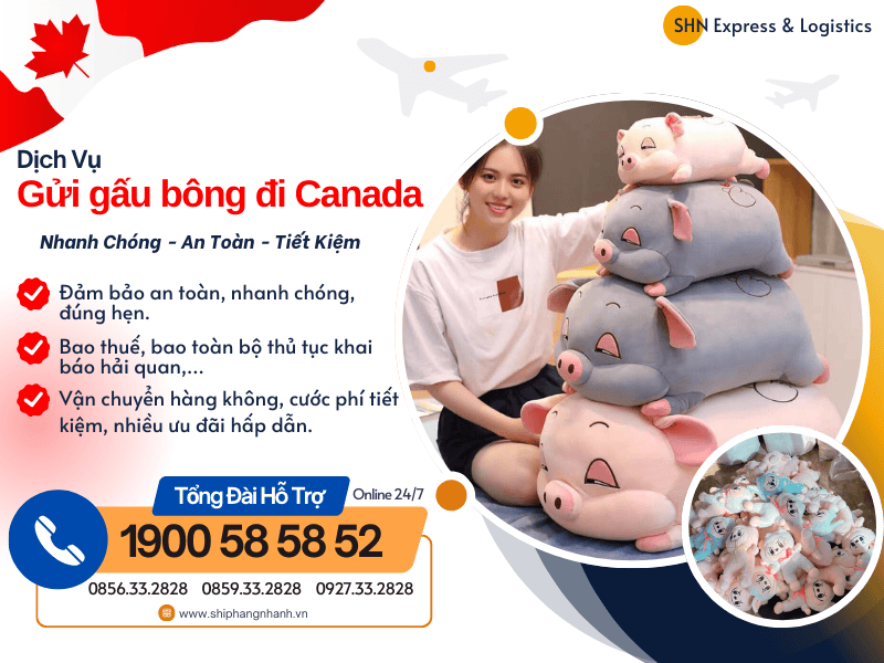 gui gau bong di canada