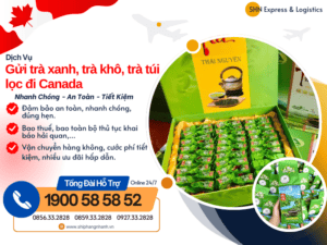 gui tra xanh tra kho tra tui loc di canada