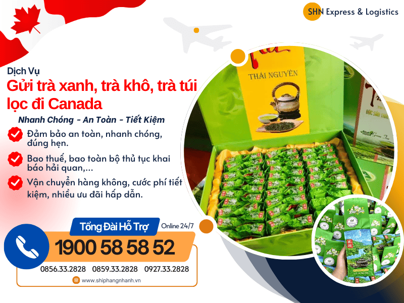 gui tra xanh tra kho tra tui loc di canada