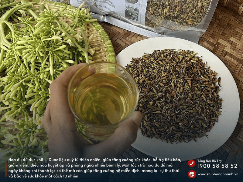 hoa du du duc duoc lieu quy tu thien nhien