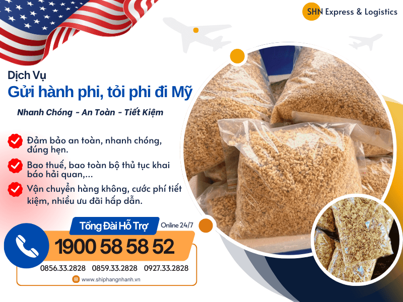 gui hanh phi toi phi di my