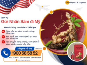 gui nhan sam di my
