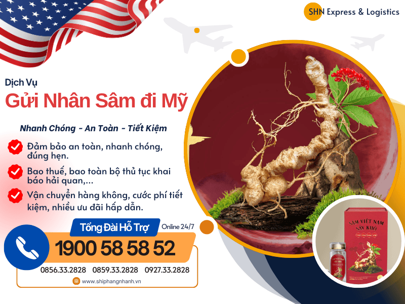 gui nhan sam di my