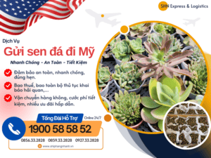 gui sen da di my