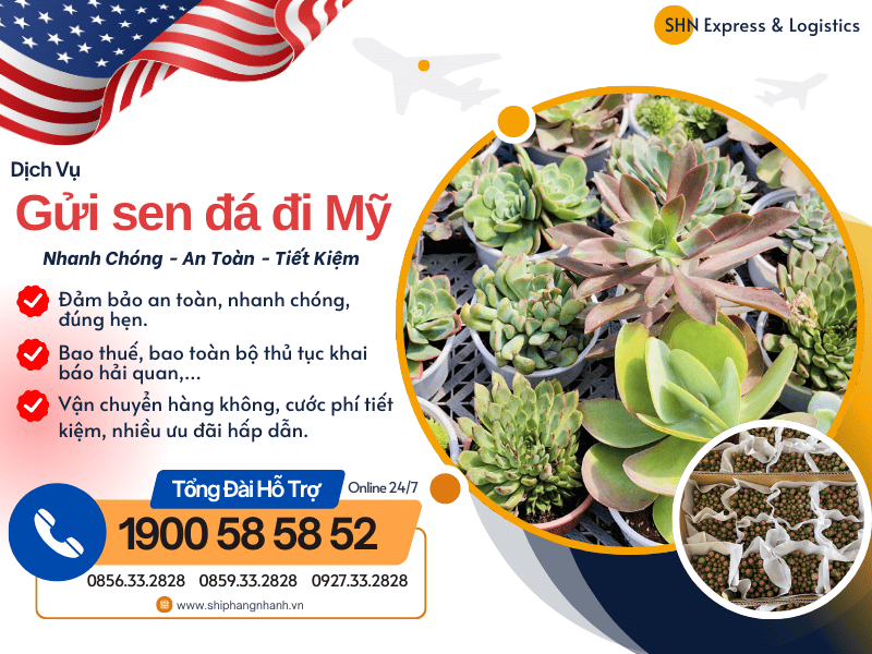 gui sen da di my
