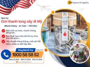 gui thanh long say di my