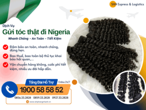 gui toc that di nigeria