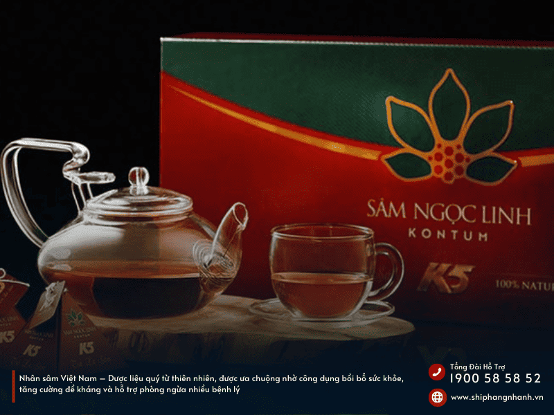 nhan sam viet nam tinh hoa duoc lieu quy gia 1