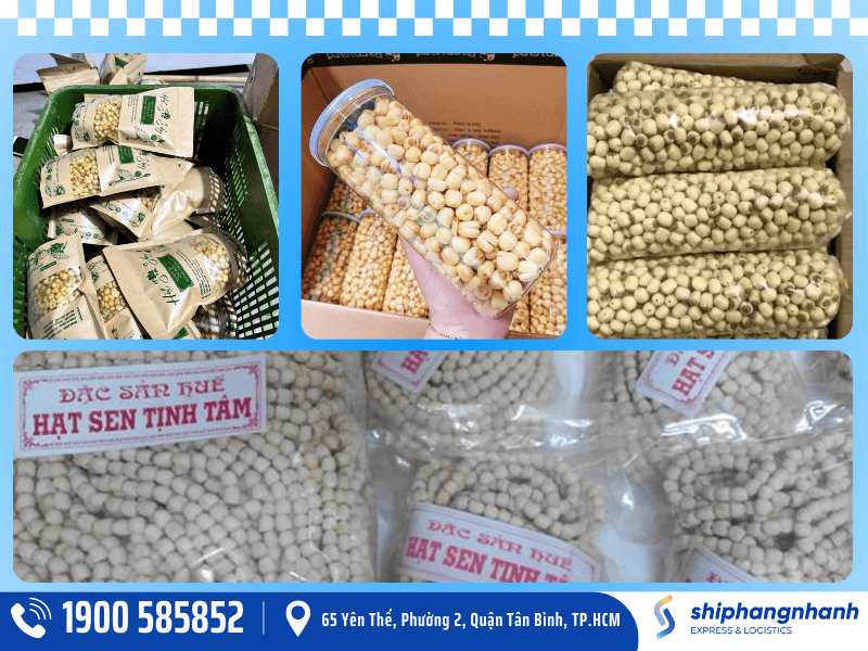 shn - Kubet dich vu gui hat sen kho di my an toan nhanh chong 1