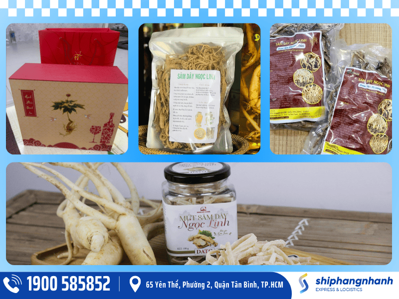 shn - Kubet dich vu van chuyen nhan sam di my an toan uy tin dam bao 1