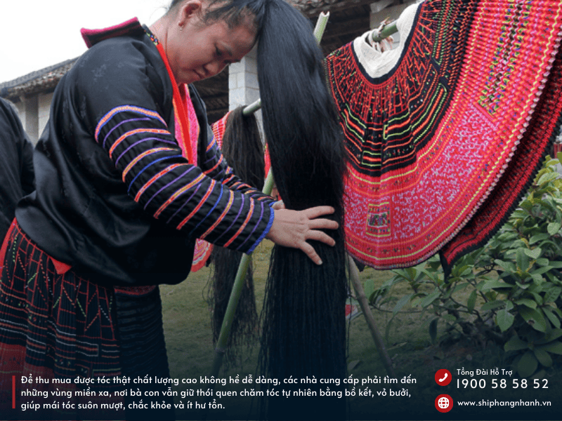 xuat khau toc that tu nguoi viet nam xu the tat yeu de dap ung thi truong my 1