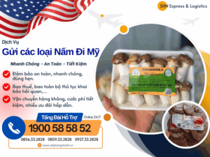 gui cac loai nam di my