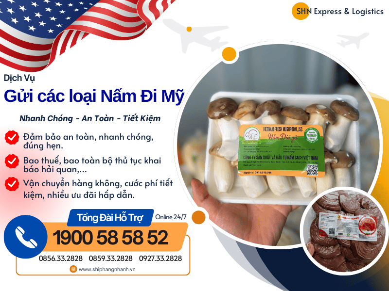 gui cac loai nam di my