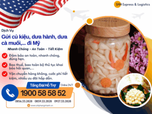 gui cu kieu cu hanh di my