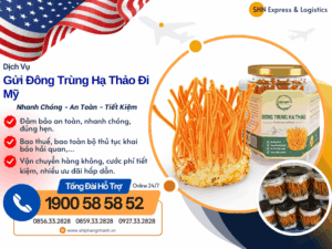 gui dong trung ha thao di my