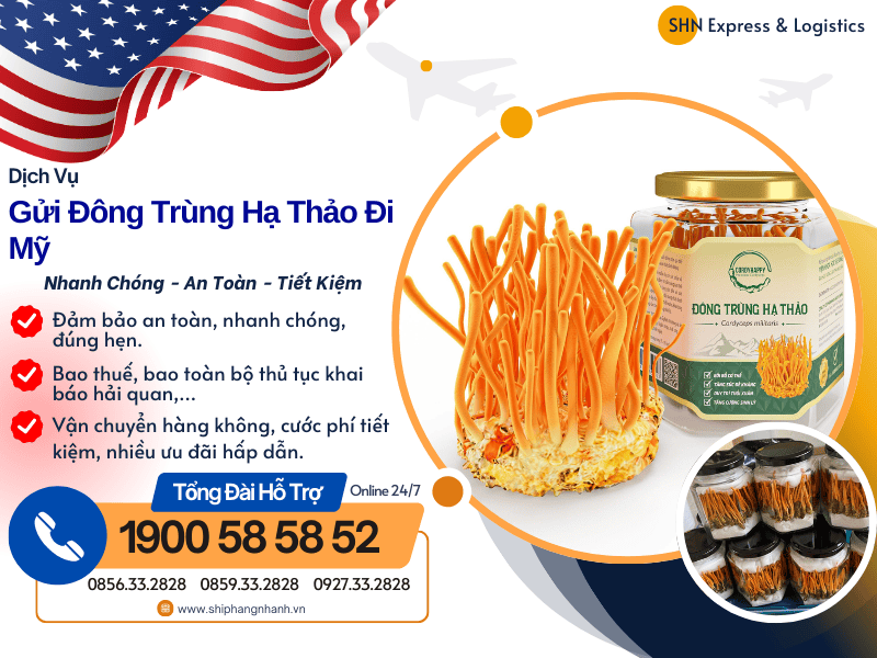 gui dong trung ha thao di my