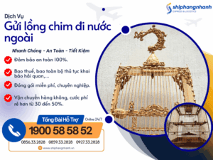gui long chim di nuoc ngoai