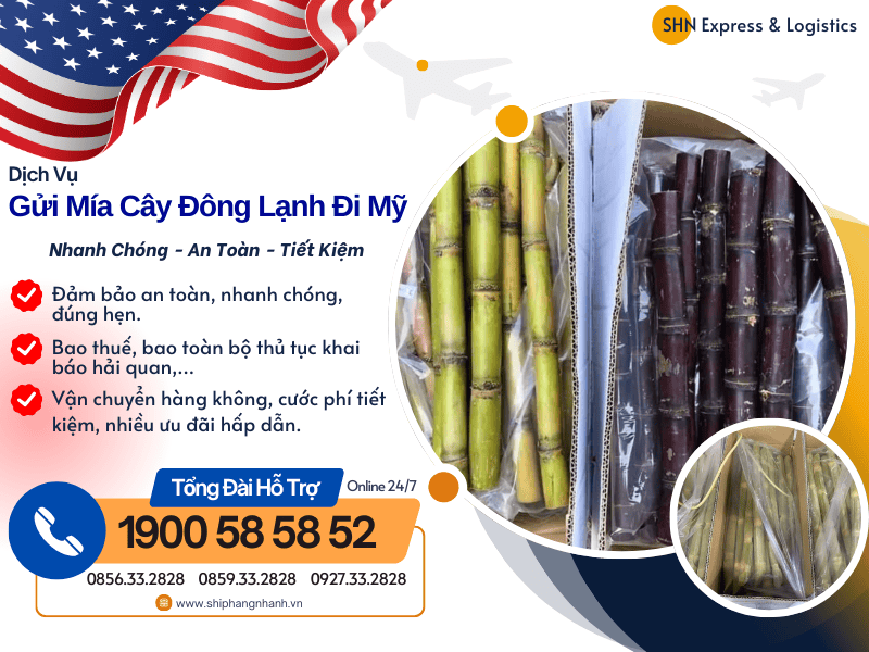 gui mia cay cap dong di my
