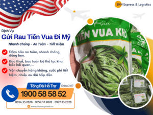 gui rau tien vua di my
