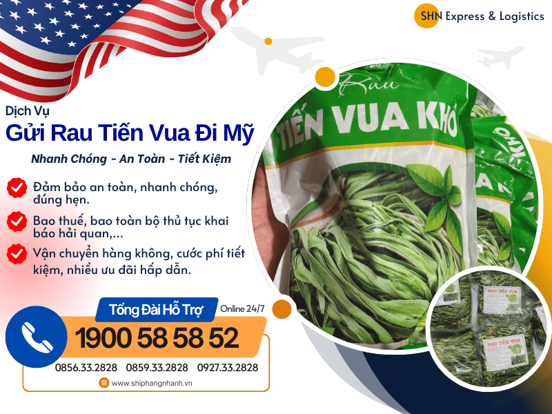 gui rau tien vua di my