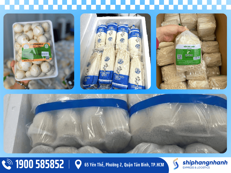 shn - Kubet dich vu gui cac loai nam di my an toan nhanh chong