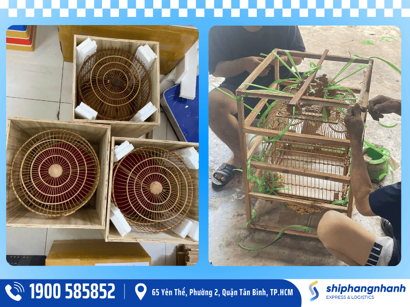 shn - Kubet dich vu gui long chim di nuoc ngoai an toan dung chuan 3